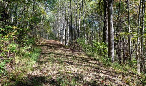 Photo #20 of 13630 CRABTREE FALLS HWY, TYRO, VA 22.8 acres