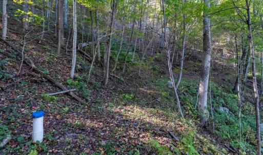Photo #9 of 13630 CRABTREE FALLS HWY, TYRO, VA 22.8 acres