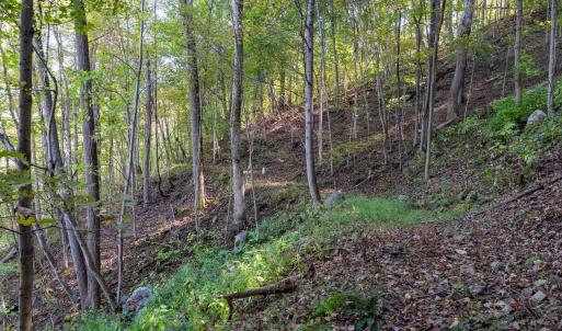 Photo #26 of 13630 CRABTREE FALLS HWY, TYRO, VA 22.8 acres