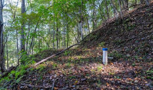 Photo #10 of 13630 CRABTREE FALLS HWY, TYRO, VA 22.8 acres