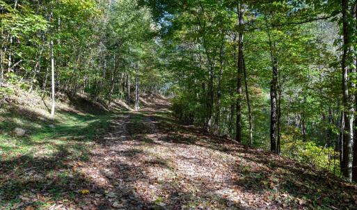 Photo #32 of 13630 CRABTREE FALLS HWY, TYRO, VA 22.8 acres