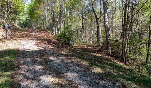 Photo #30 of 13630 CRABTREE FALLS HWY, TYRO, VA 22.8 acres