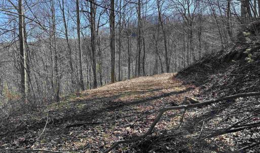 Photo #41 of 13630 CRABTREE FALLS HWY, TYRO, VA 22.8 acres