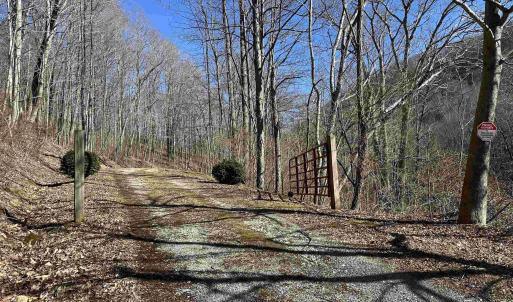 Photo #40 of 13630 CRABTREE FALLS HWY, TYRO, VA 22.8 acres