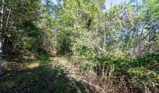 Photo #21 of 13630 CRABTREE FALLS HWY, TYRO, VA 22.8 acres