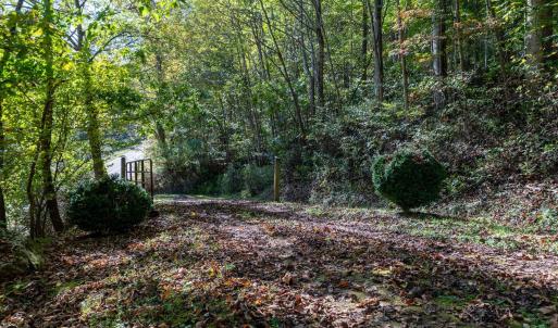 Photo #33 of 13630 CRABTREE FALLS HWY, TYRO, VA 22.8 acres