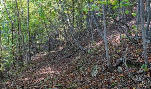 Photo #25 of 13630 CRABTREE FALLS HWY, TYRO, VA 22.8 acres