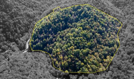 Photo #38 of 13630 CRABTREE FALLS HWY, TYRO, VA 22.8 acres