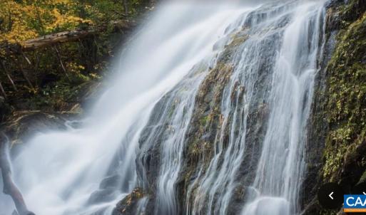 Photo #3 of 13630 CRABTREE FALLS HWY, TYRO, VA 22.8 acres