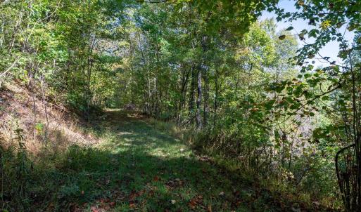 Photo #23 of 13630 CRABTREE FALLS HWY, TYRO, VA 22.8 acres