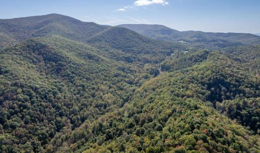 Photo #16 of 13630 CRABTREE FALLS HWY, TYRO, VA 22.8 acres