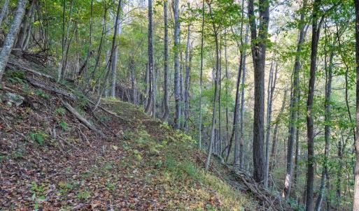 Photo #24 of 13630 CRABTREE FALLS HWY, TYRO, VA 22.8 acres