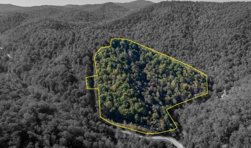 Photo #37 of 13630 CRABTREE FALLS HWY, TYRO, VA 22.8 acres