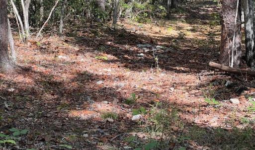 Photo #3 of tbd GERTIES LN, STUARTS DRAFT, VA 10.3 acres