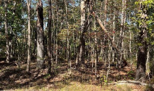 Photo #2 of tbd GERTIES LN, STUARTS DRAFT, VA 10.3 acres