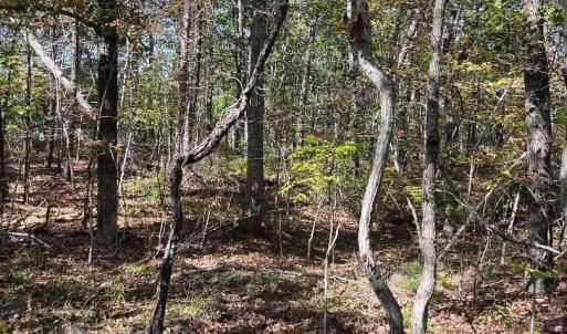 Photo #1 of tbd GERTIES LN, STUARTS DRAFT, VA 10.3 acres