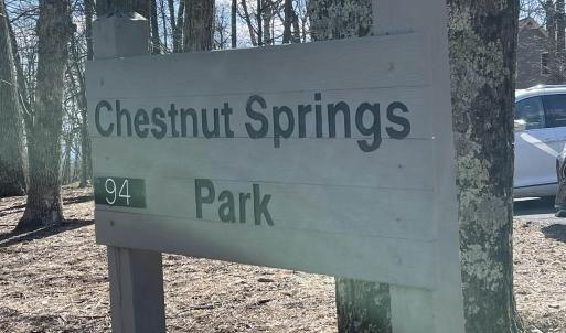 Photo #5 of 1025 BLUE RIDGE DR, WINTERGREEN RESORT, VA 0.5 acres