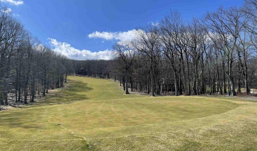 Photo #2 of 1025 BLUE RIDGE DR, WINTERGREEN RESORT, VA 0.5 acres