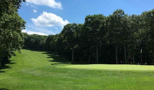 Photo #1 of 1025 BLUE RIDGE DR, WINTERGREEN RESORT, VA 0.5 acres