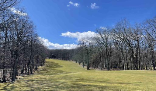 Photo #3 of 1025 BLUE RIDGE DR, WINTERGREEN RESORT, VA 0.5 acres