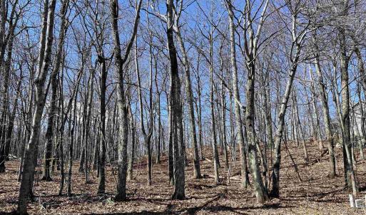 Photo #4 of 1025 BLUE RIDGE DR, WINTERGREEN RESORT, VA 0.5 acres