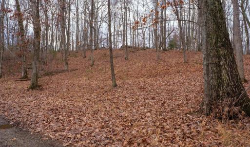Photo #10 of TBD HORSESHOE HOLLOW, GREENVILLE, VA 0.9 acres