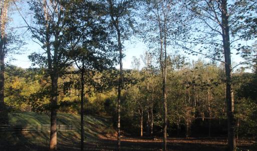 Photo #8 of TBD BATESVILLE RD, AFTON, VA 2.0 acres