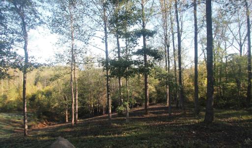 Photo #6 of TBD BATESVILLE RD, AFTON, VA 2.0 acres