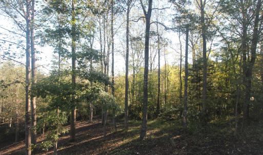 Photo #3 of TBD BATESVILLE RD, AFTON, VA 2.0 acres