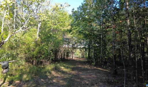 Photo #13 of 87 OLD FORK LN, PALMYRA, VA 8.1 acres