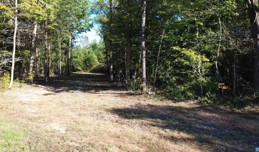 Photo #15 of 87 OLD FORK LN, PALMYRA, VA 8.1 acres