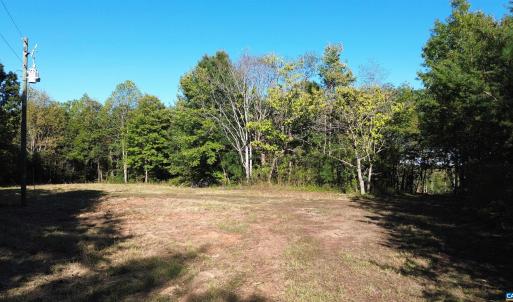 Photo #4 of 87 OLD FORK LN, PALMYRA, VA 8.1 acres