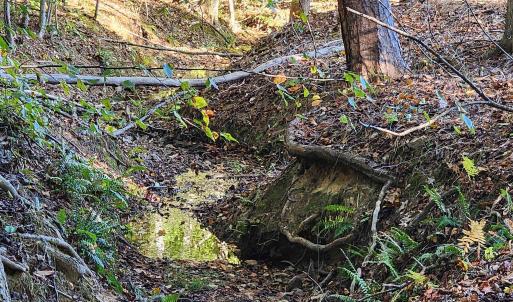 Photo #11 of 87 OLD FORK LN, PALMYRA, VA 8.1 acres