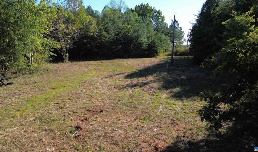 Photo #5 of 87 OLD FORK LN, PALMYRA, VA 8.1 acres