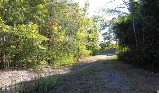 Photo #14 of 87 OLD FORK LN, PALMYRA, VA 8.1 acres