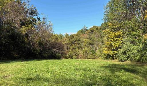 Photo #6 of Lot D, TM 24-30 HOOVER RD, REVA, VA 4.5 acres