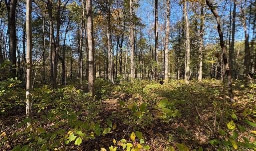 Photo #7 of Lot D, TM 24-30 HOOVER RD, REVA, VA 4.5 acres