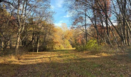 Photo #9 of Lot D, TM 24-30 HOOVER RD, REVA, VA 4.5 acres