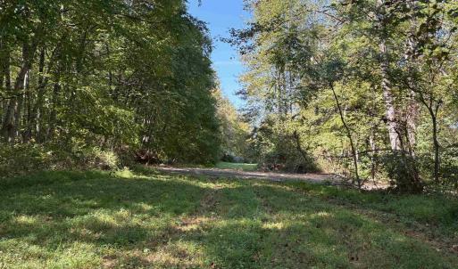 Photo #4 of Lot D, TM 24-30 HOOVER RD, REVA, VA 4.5 acres