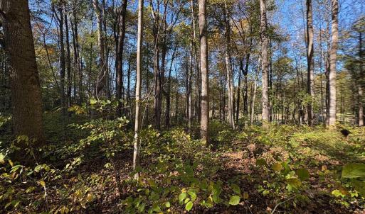 Photo #6 of Lot E, TM 24-30 HOOVER RD, REVA, VA 7.3 acres