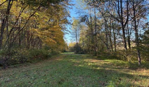 Photo #1 of Lot E, TM 24-30 HOOVER RD, REVA, VA 7.3 acres