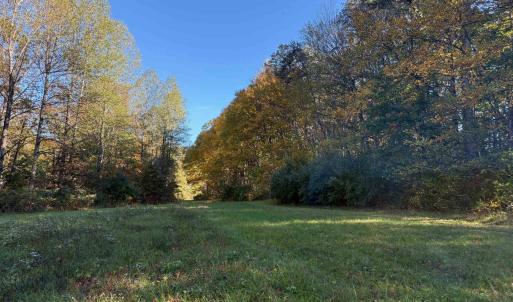 Photo #7 of Lot E, TM 24-30 HOOVER RD, REVA, VA 7.3 acres