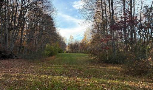 Photo #2 of Lot E, TM 24-30 HOOVER RD, REVA, VA 7.3 acres