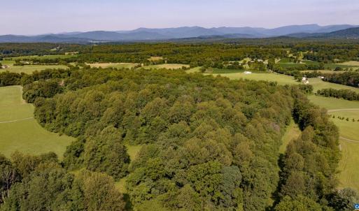 Photo #3 of Lot E, TM 24-30 HOOVER RD, REVA, VA 7.3 acres