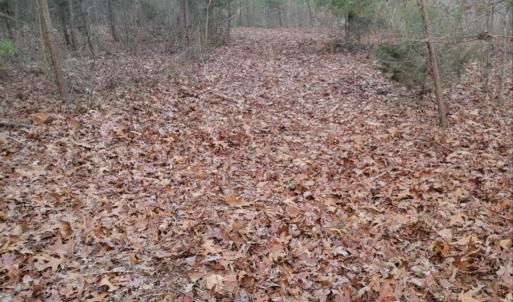 Photo #21 of tbd MIRACLE RIDGE RD, ELKTON, VA 35.9 acres