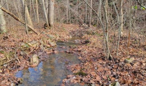 Photo #26 of tbd MIRACLE RIDGE RD, ELKTON, VA 35.9 acres