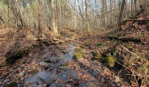 Photo #30 of tbd MIRACLE RIDGE RD, ELKTON, VA 35.9 acres