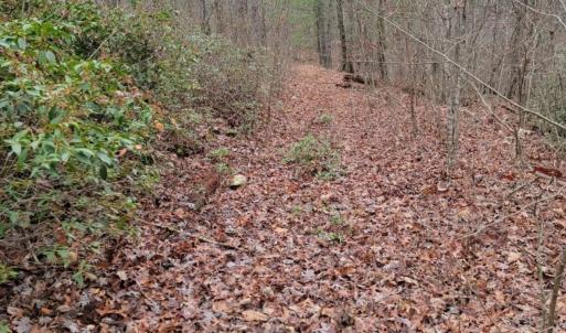Photo #19 of tbd MIRACLE RIDGE RD, ELKTON, VA 35.9 acres