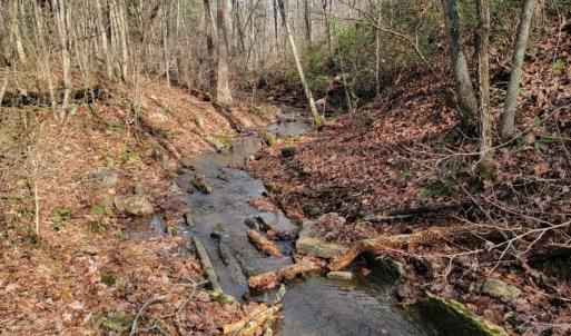 Photo #28 of tbd MIRACLE RIDGE RD, ELKTON, VA 35.9 acres