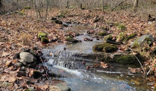 Photo #6 of tbd MIRACLE RIDGE RD, ELKTON, VA 35.9 acres